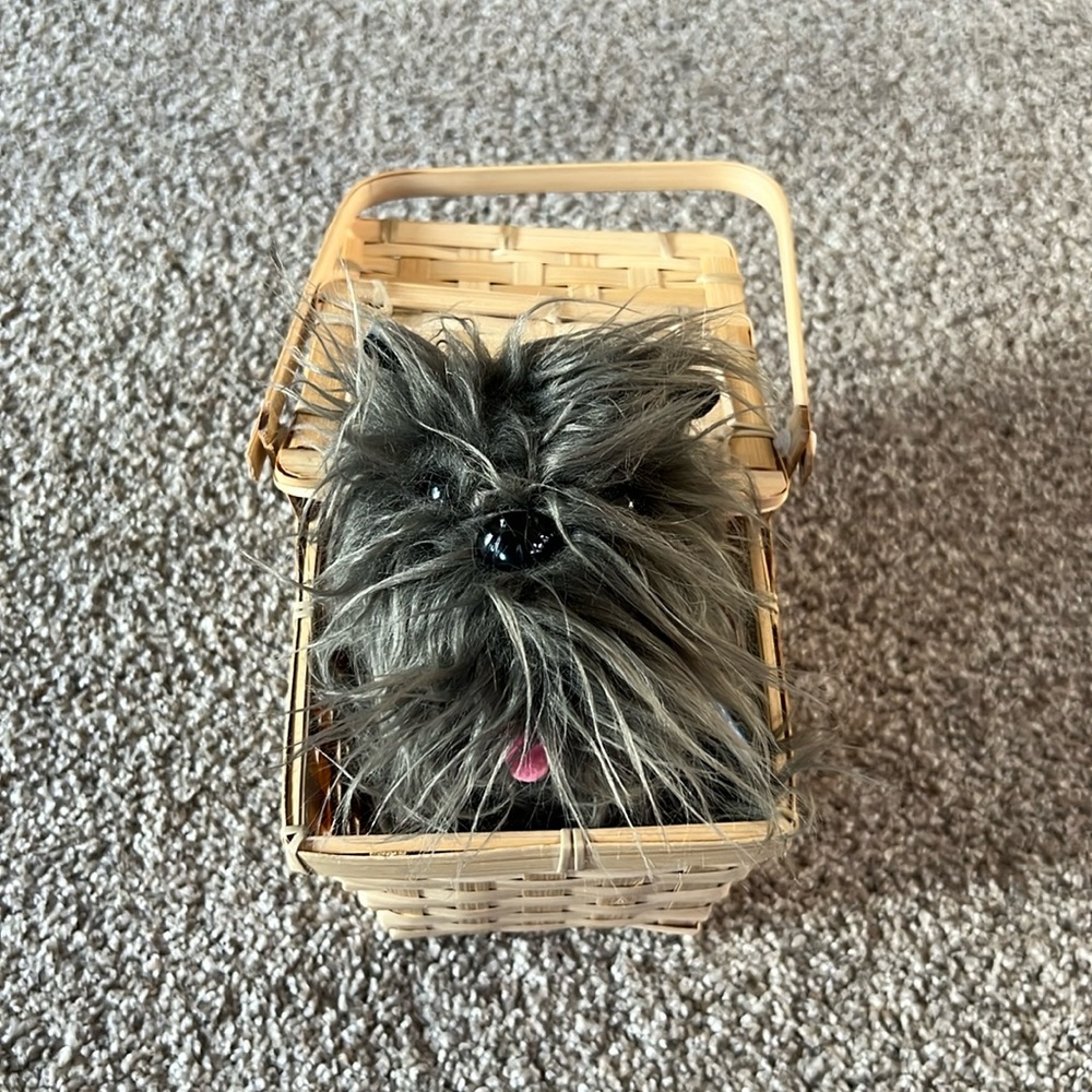 Toto Basket for Costume